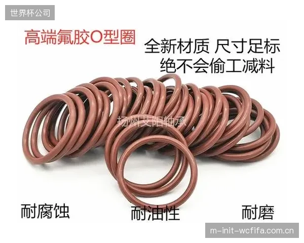 FKM密封圈的性能标定数据正在推动售后市场从“损坏更换”向“性能衰减预警”的精细化维保逻辑迁移